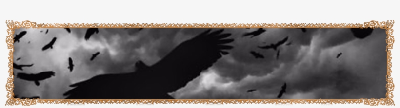 Crows - My Skin Is Cold - Cd Album, transparent png #2361544