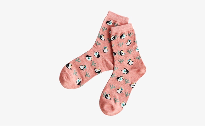 White Socks - Socks Transparent, transparent png #2361884