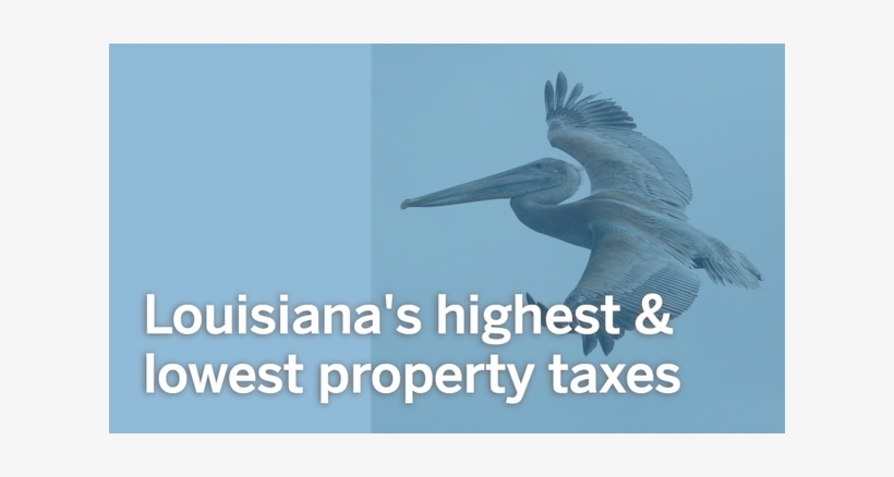 Title Slide - Louisiana, transparent png #2362092
