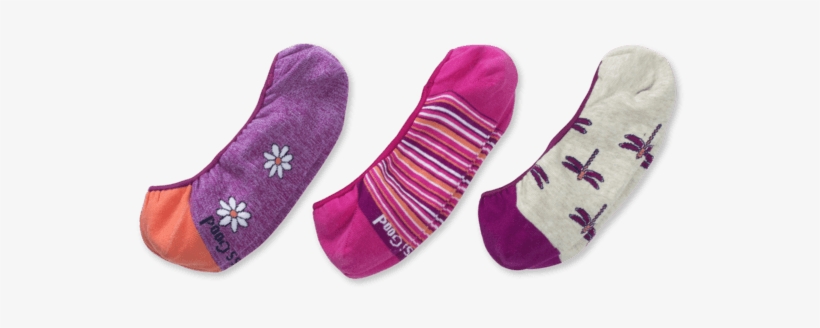 3-pack Women's Daisy & Dragonfly Liner Socks - Sock, transparent png #2362187