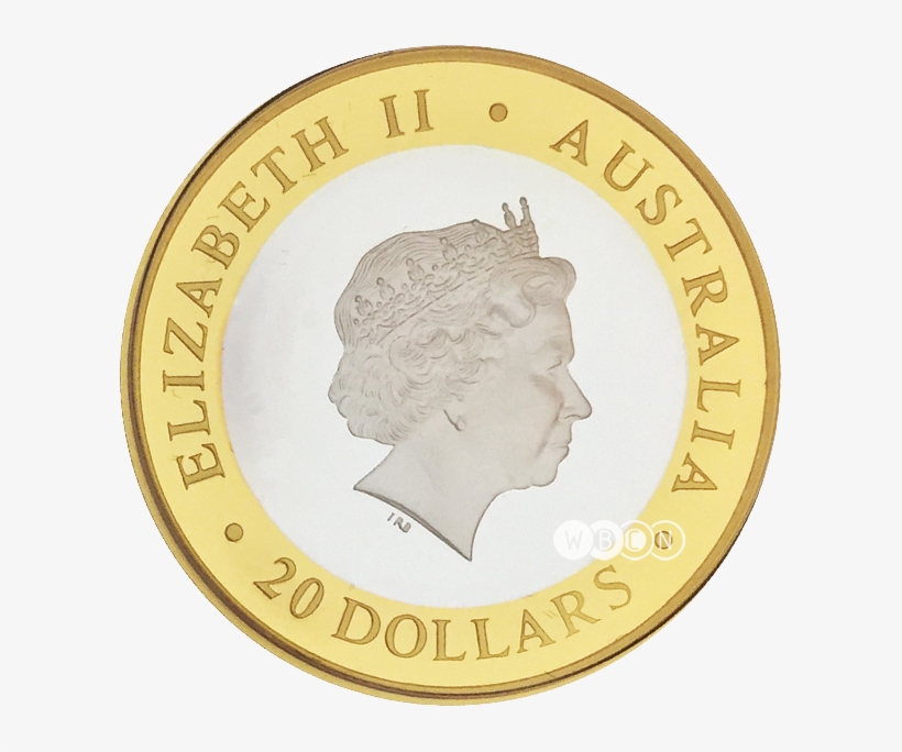 Visit - Australian Silver Kookaburra, transparent png #2363344