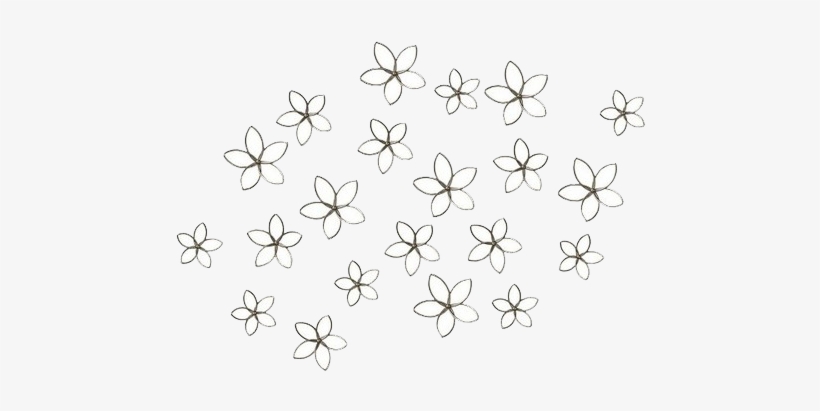 Drawings - Insect, transparent png #2364439