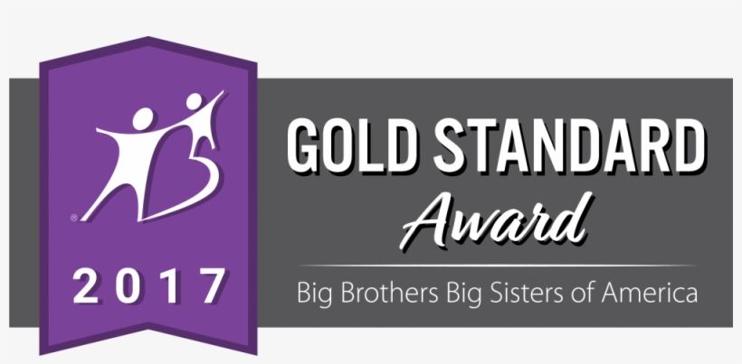 Linkedin Icon - Big Brothers Big Sisters, transparent png #2364826