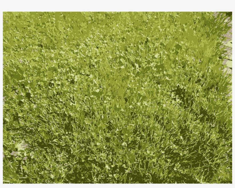 This Free Icons Png Design Of Grass Details In Missouri, transparent png #2365477