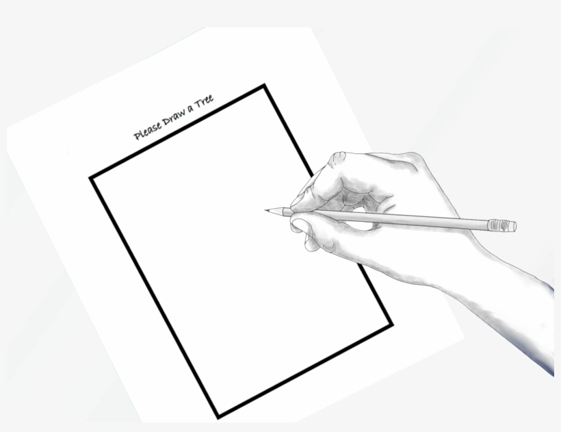 Your Personal Forest Tree Reading Single - Sketchbook: Extra Large 8. 5 X 11 Inches 120 Page Sketchbook, transparent png #2369291