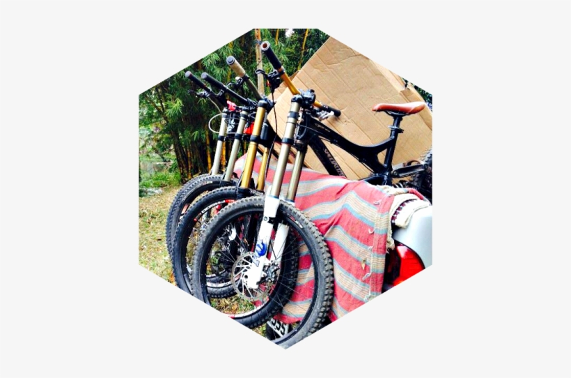 As Part Of Our Global Cycling Series, We've Asked Marina - Mountain Unicycling, transparent png #2369635
