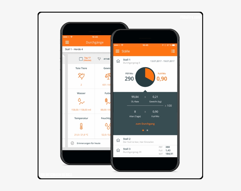 Big Dutchman - Smartphones - Portable Network Graphics, transparent png #2369756