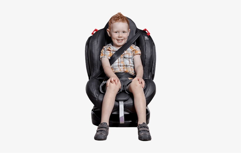 Phil&teds Evolution Convertible Car Seat - Phil & Teds Evolution Car Seat Review, transparent png #2370312