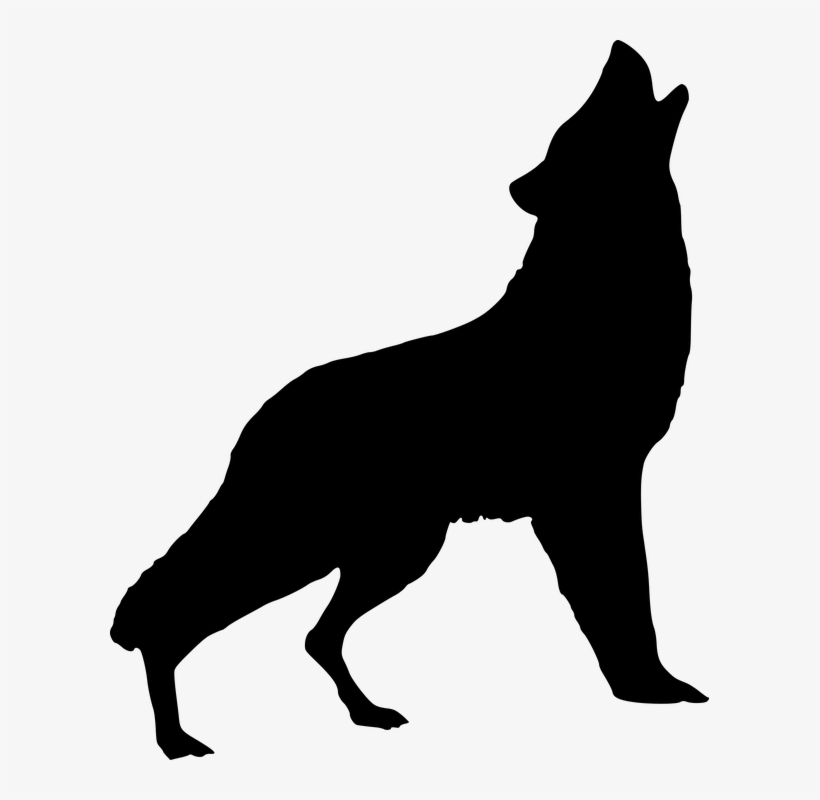 Silhouette, Wolf, Howling, Art, Wild, Animal, Nature - Wolf Howling Silhouette, transparent png #2371122