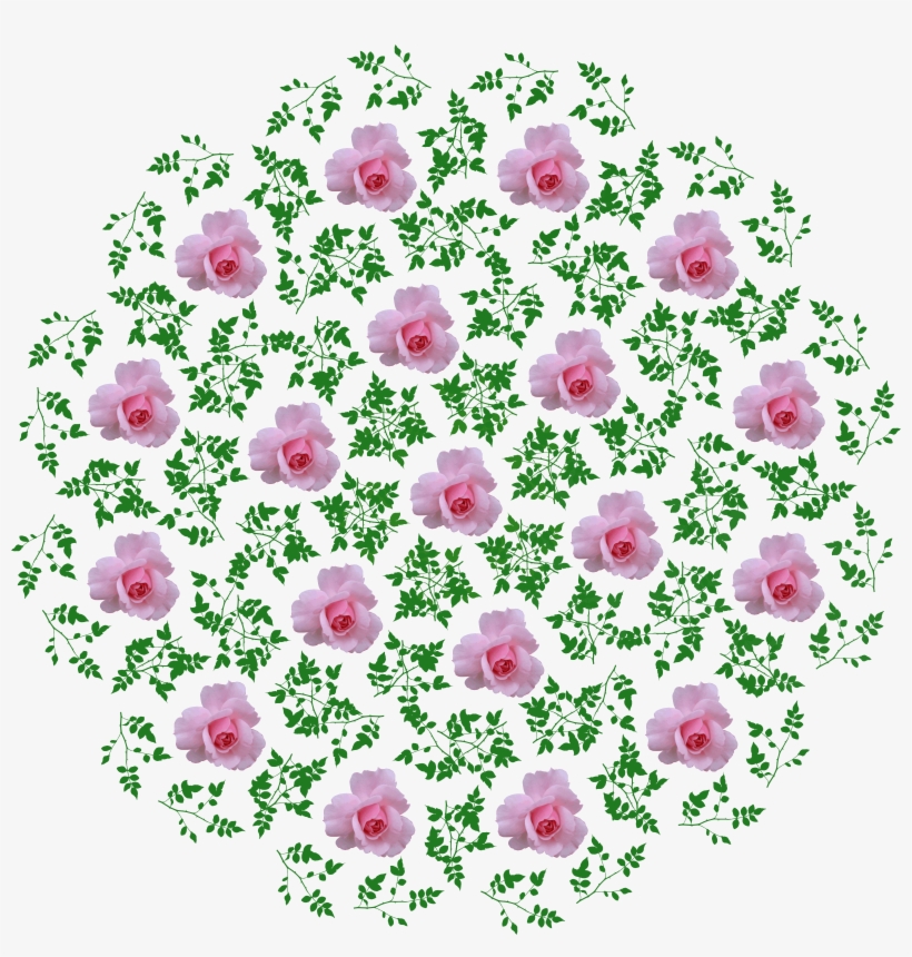 Big Image - Portable Network Graphics, transparent png #2371191