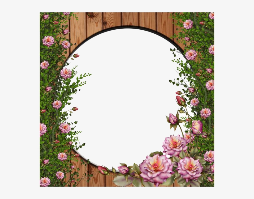 Rose Vine - Rose Flower Frames Png, transparent png #2371211