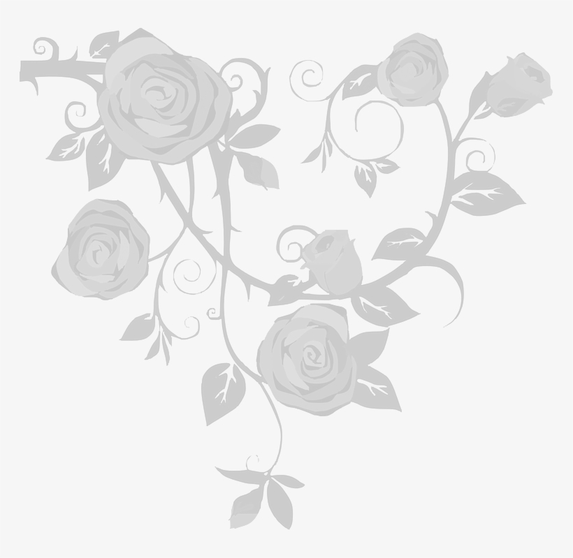 Design - Rose And Vine Drawings, transparent png #2371530