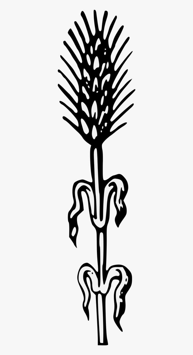 Details, Png - Silhouette, transparent png #2371842