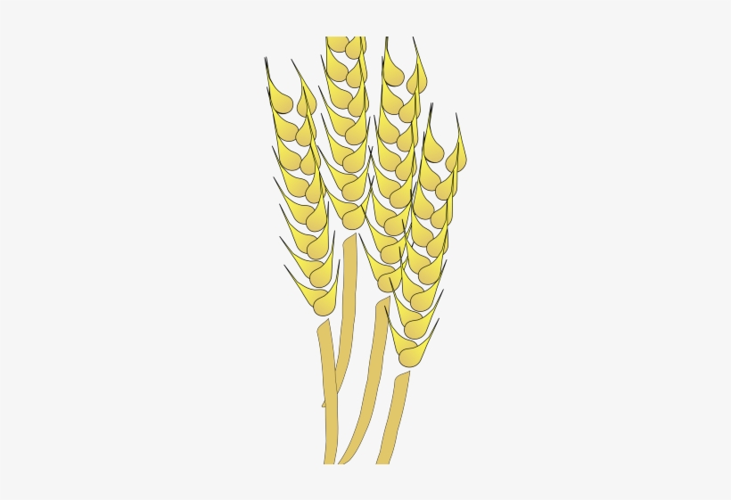 Wheat Clipart Wheat Stalk - Wheat Clip Art, transparent png #2371891