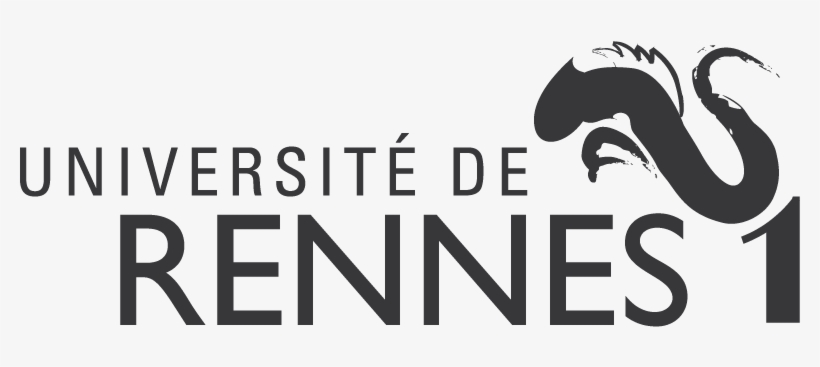 Logo Cnrs 01, Logo Rennes1 01, Logo Insa - Logo Univ Rennes 1, transparent png #2373207