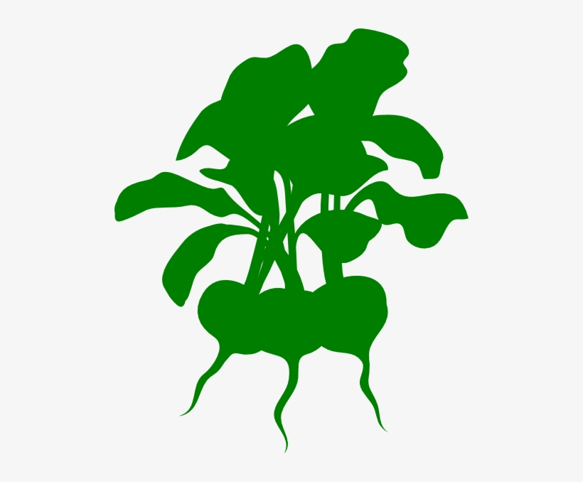 How To Set Use Green Beets Clipart, transparent png #2373252