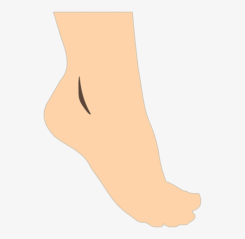 Feet Clipart Vector - Foot Clip Art Png, transparent png #2374112