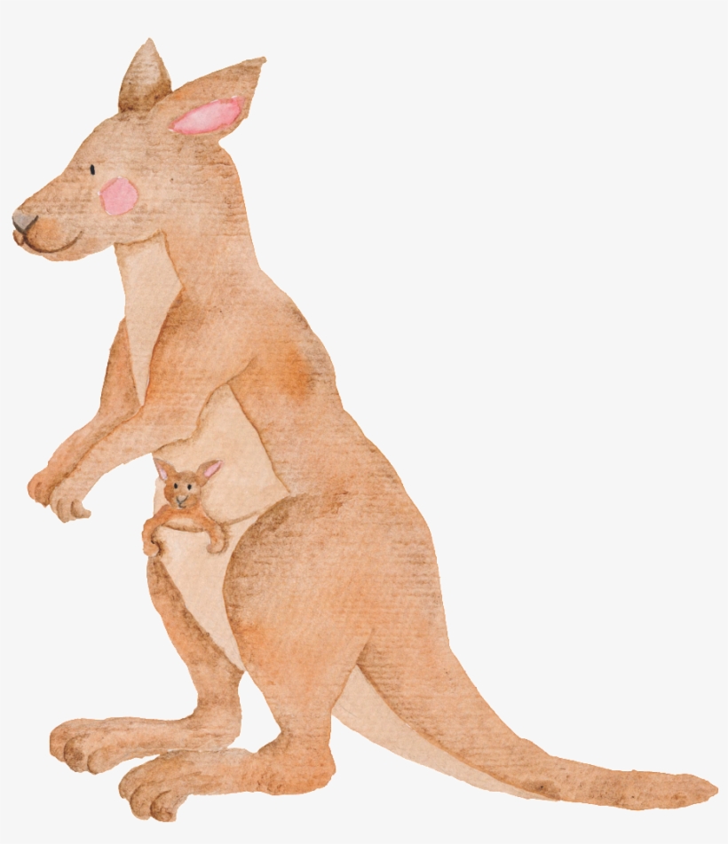 Hand Painted Kangaroo Transparent Animal Png - Watercolor Australian Animals Painting, transparent png #2374754