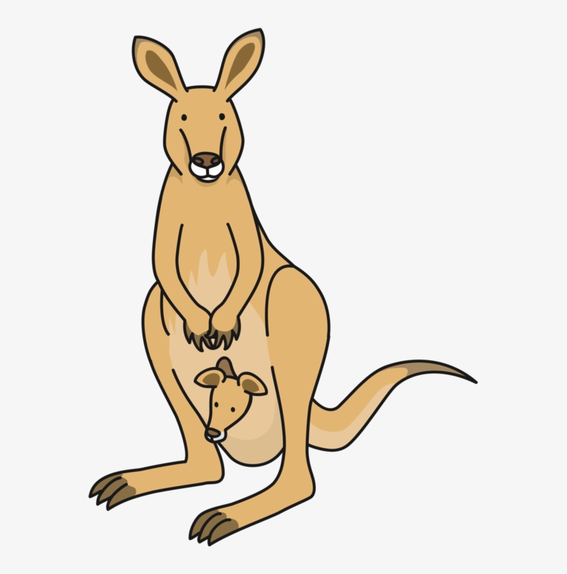 Macropods Kangaroo Drawing Mammal Diagram - Kangaroo, transparent png #2374784