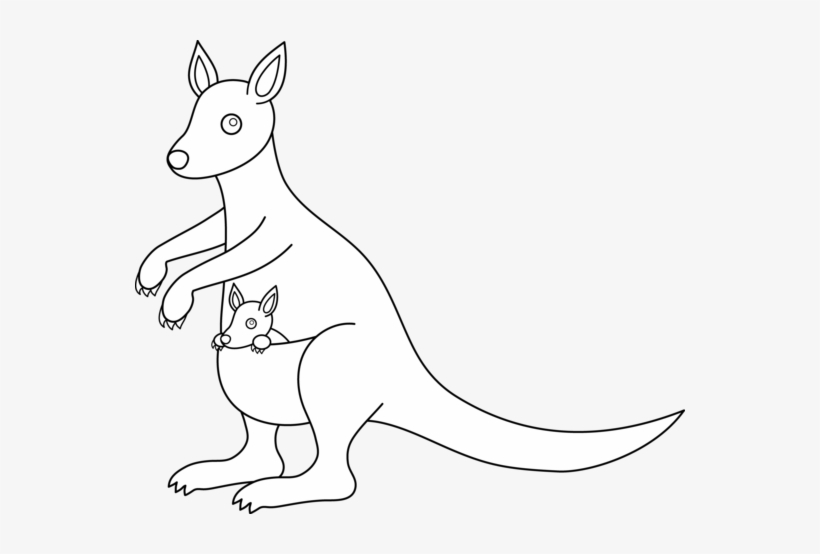 Clip Freeuse Baby Kangaroo Clipart - Kangaroo Lineart, transparent png #2374806