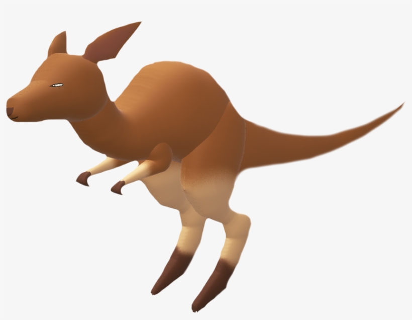 Red Kangaroo - Kangaroo, transparent png #2374990