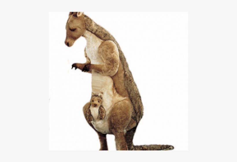 Kangaroos Png, transparent png #2375105