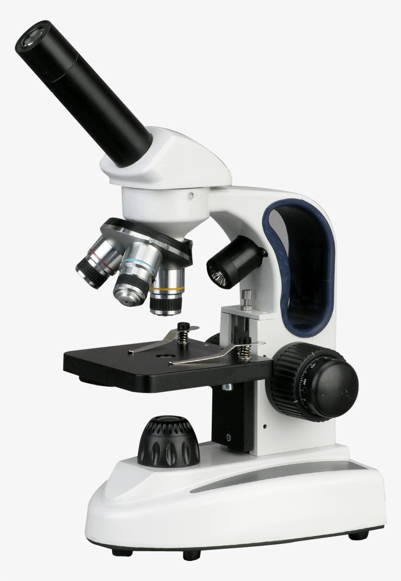 Microscope Png - Amscope 40x-1000x Cordless Led Compound Microscope, transparent png #2375949