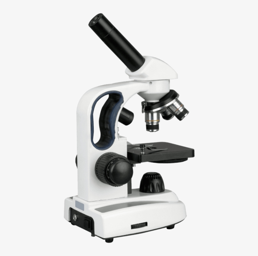 Free Png Microscope Png Images Transparent - Microscope Png, transparent png #2376010