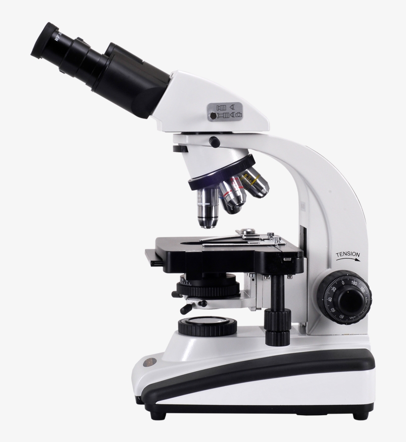 Microscope Png, transparent png #2376129