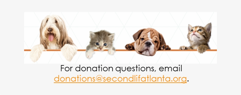 Donate Page Png - Cani Più Amati: Le Storie Più Belle [book], transparent png #2376926