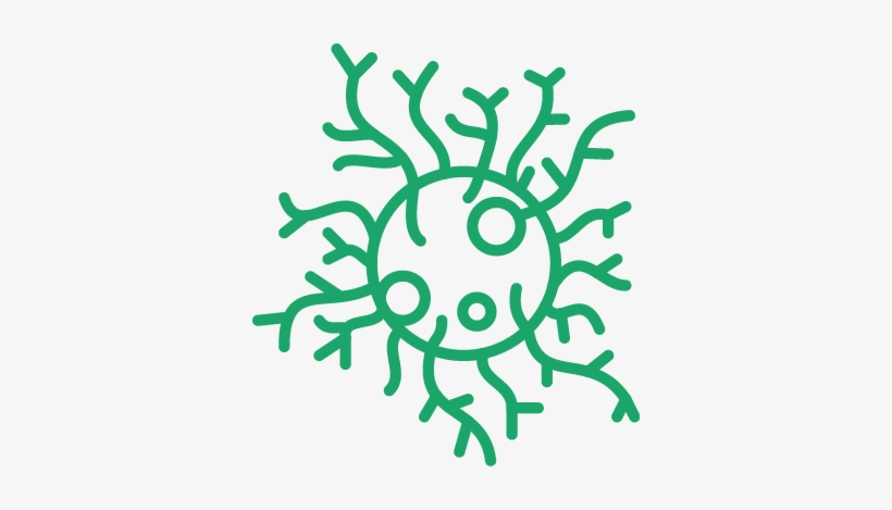 Caring For Seniors With Stage 4 Cancer - Illustration, transparent png #2377081