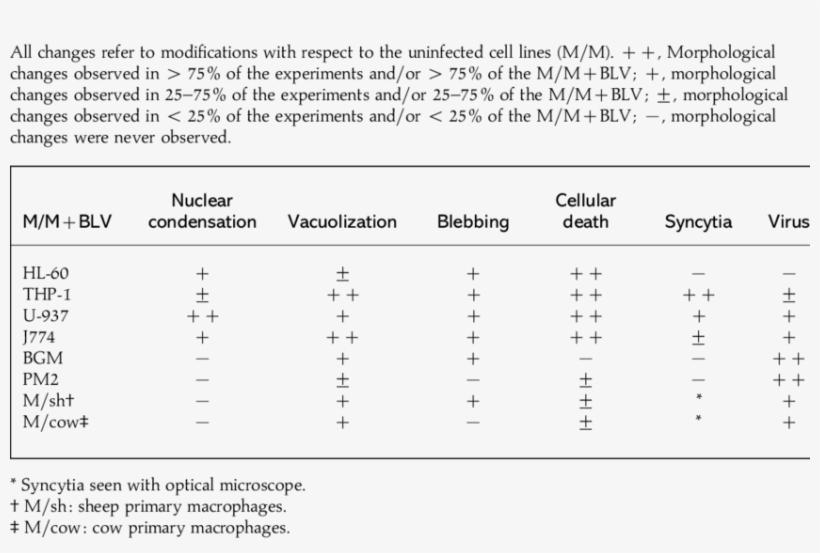 Morphological Changes In M/mjblv Seen With Electron - Peak Assignment Raman Spectra Table, transparent png #2377117