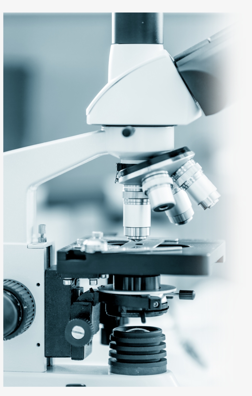 54 Pm 7636 Mosquito 12/10/2015 - Microscope, transparent png #2377139