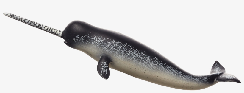 Narwhal Transparent, transparent png #2380231