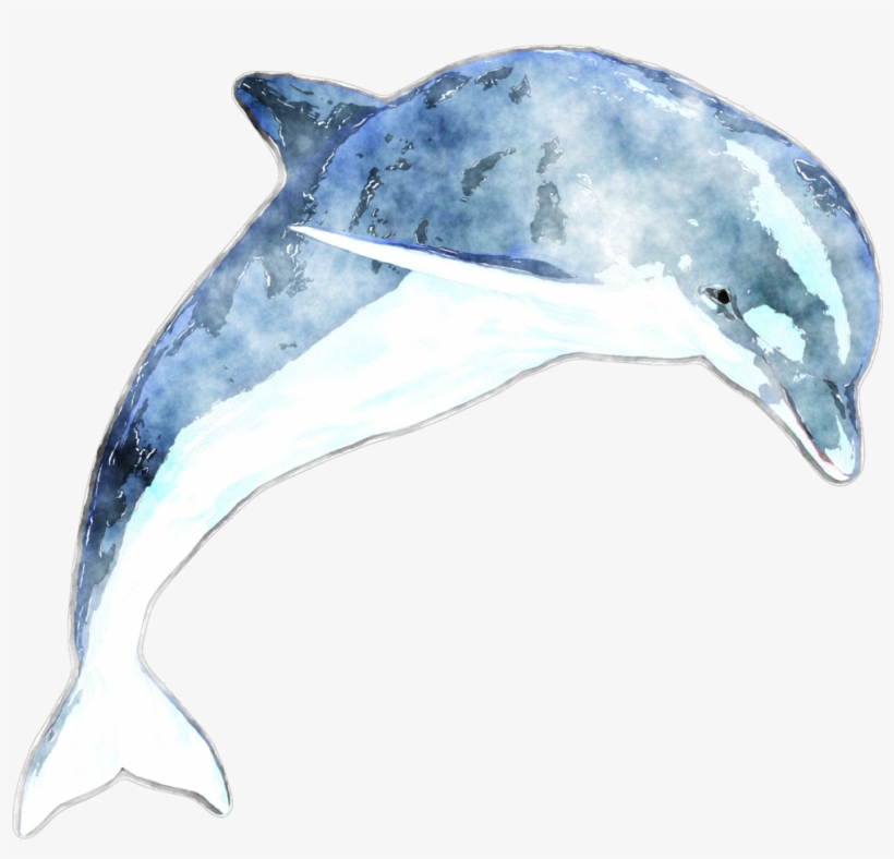 Dolphin On The Water, Sorted Cashadvance6online - Zazzle Adorable Dolphin -personalised Passport Holder, transparent png #2380477