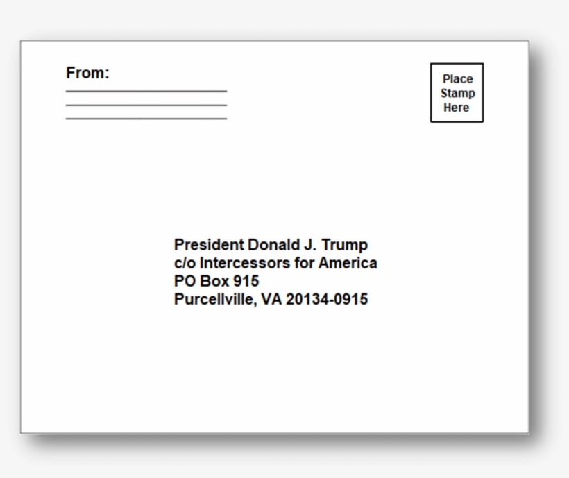 Free Resource - Donald Trump, transparent png #2380969