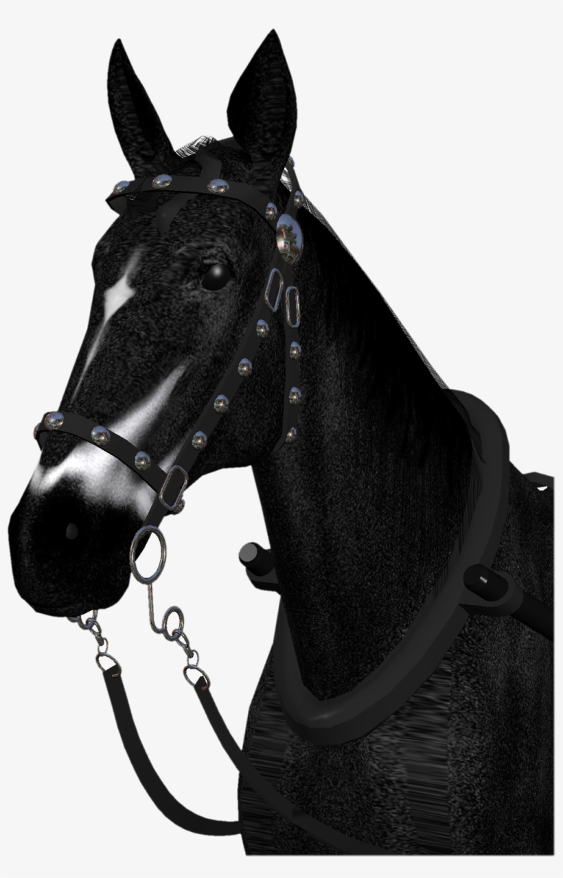 Stock Photo Gambar Kuda Horses Png - Horse, transparent png #2381804