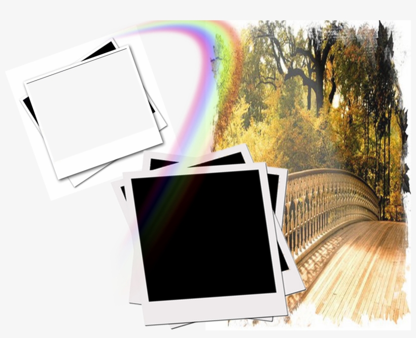 Molduras Para Fotos - Picture Frame, transparent png #2382696