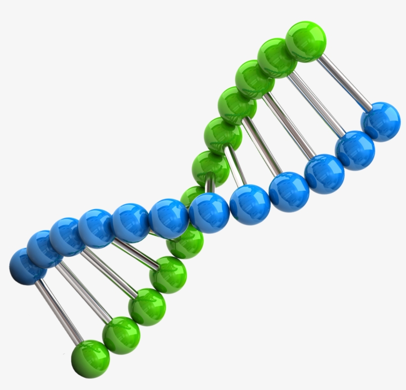Chromosome Different Ways To Collect Dna Samples - Chromozom Png, transparent png #2382827