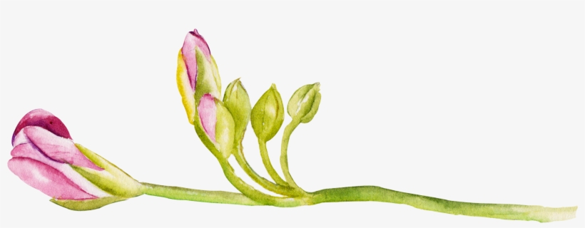 Watercolour - Portable Network Graphics, transparent png #2382848