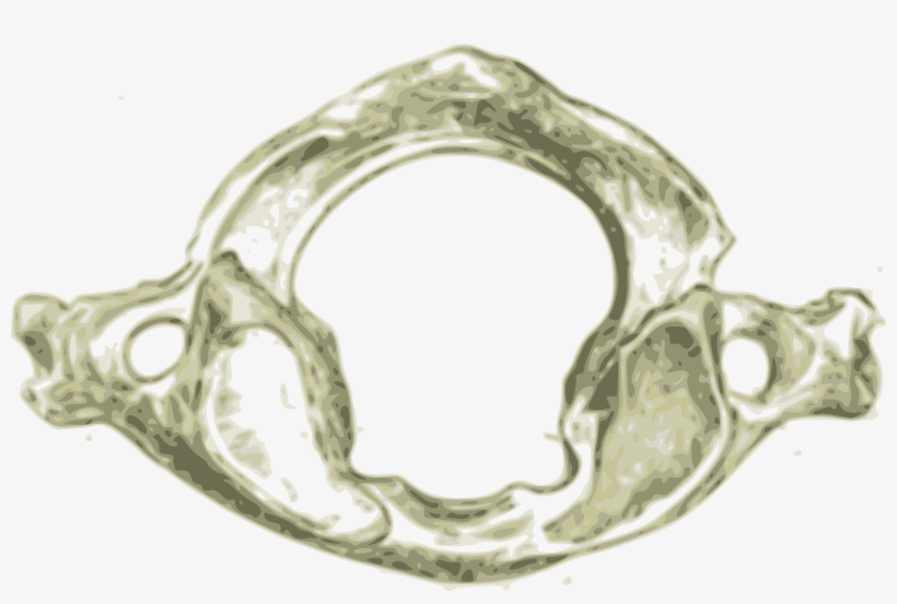 This Free Icons Png Design Of Atlas First Human Cervical, transparent png #2383118