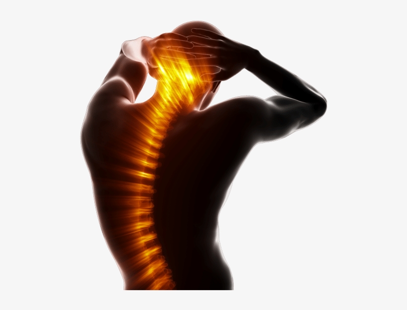 Back Pain Spine - Spine Glow, transparent png #2383122