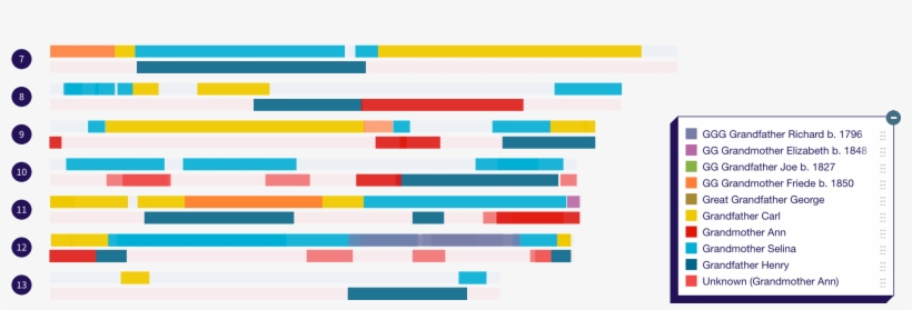 Chromosome Mapping Is The Ultimate Puzzle - Dna Painter, transparent png #2383190