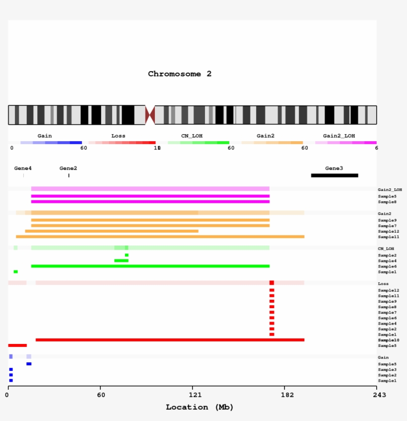Chromosome View Per Type With Overlaps And Genes - Multi Type Recurrent Event, transparent png #2383300