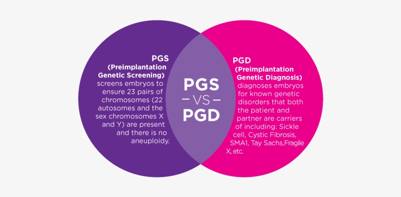 Pgs Vs Pgd Fertility Center Nyc - Pgd And Pgs, transparent png #2383368