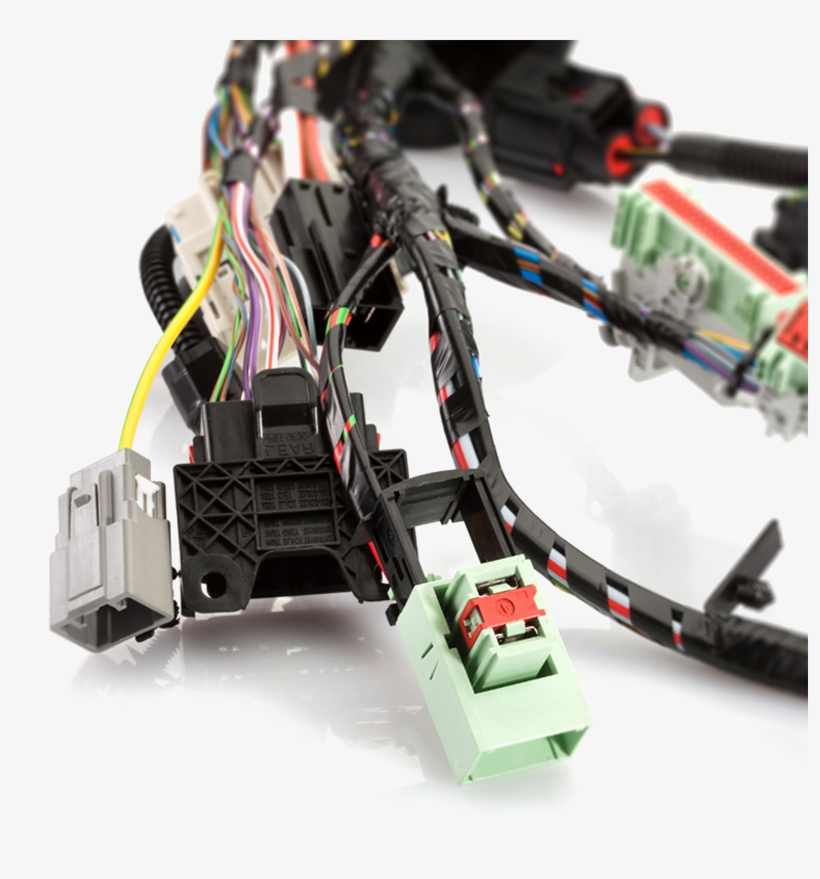 Electrical - Lear Corporation Navegantes, transparent png #2383955