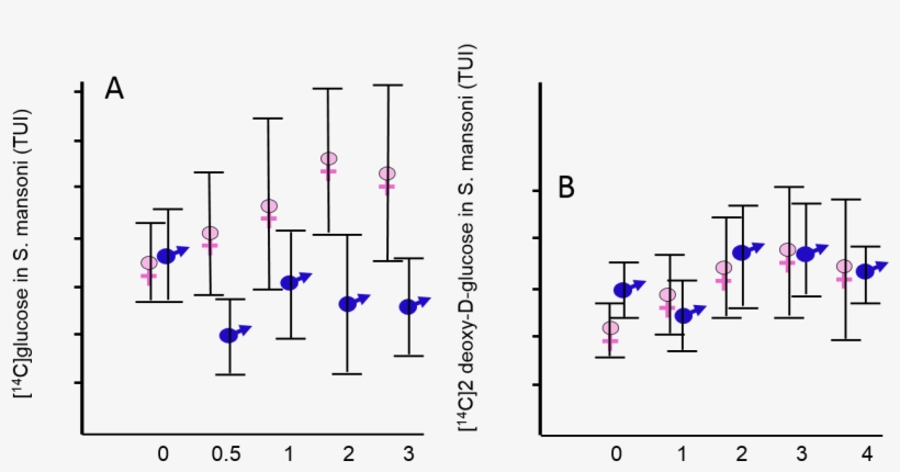 Induction By Double Stranded Rna - Double Bar Graph, transparent png #2383997
