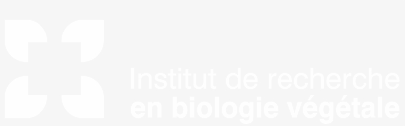 To Download In Png Format, Right-click Here Then Save - Research, transparent png #2385092