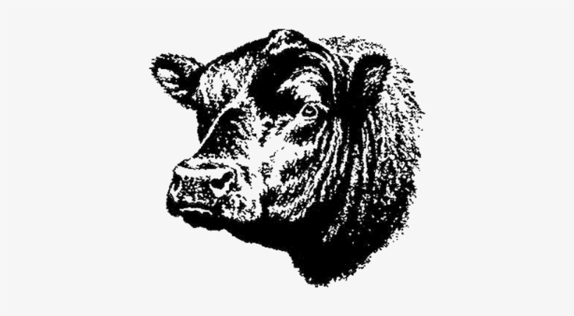 Custom Slaughter - Angus Beef, transparent png #2385686