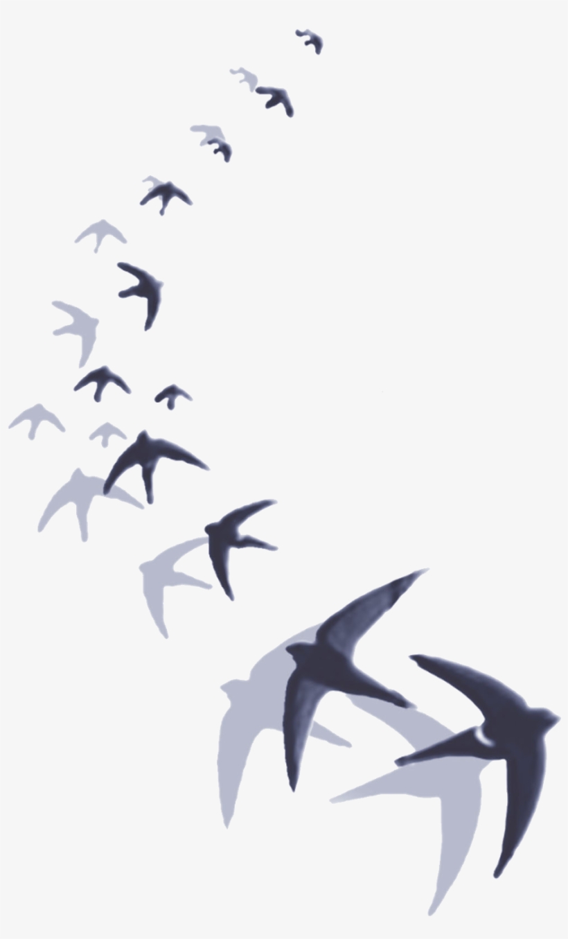 A Cualquier Persona Que Le Preguntemos Sobre La Divinidad - T-shirt, transparent png #2385709